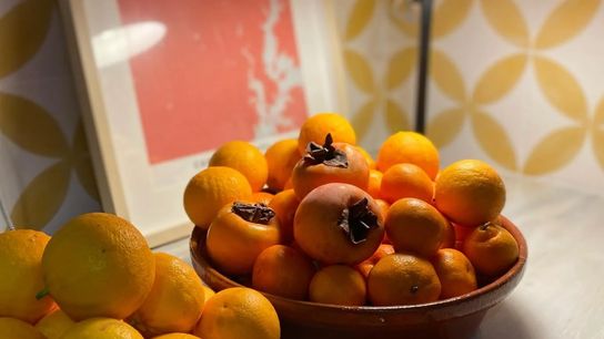 Wellness Retreat in Portugal 2026: A Restorative Escape in Nature taken Poiares (Wellness)